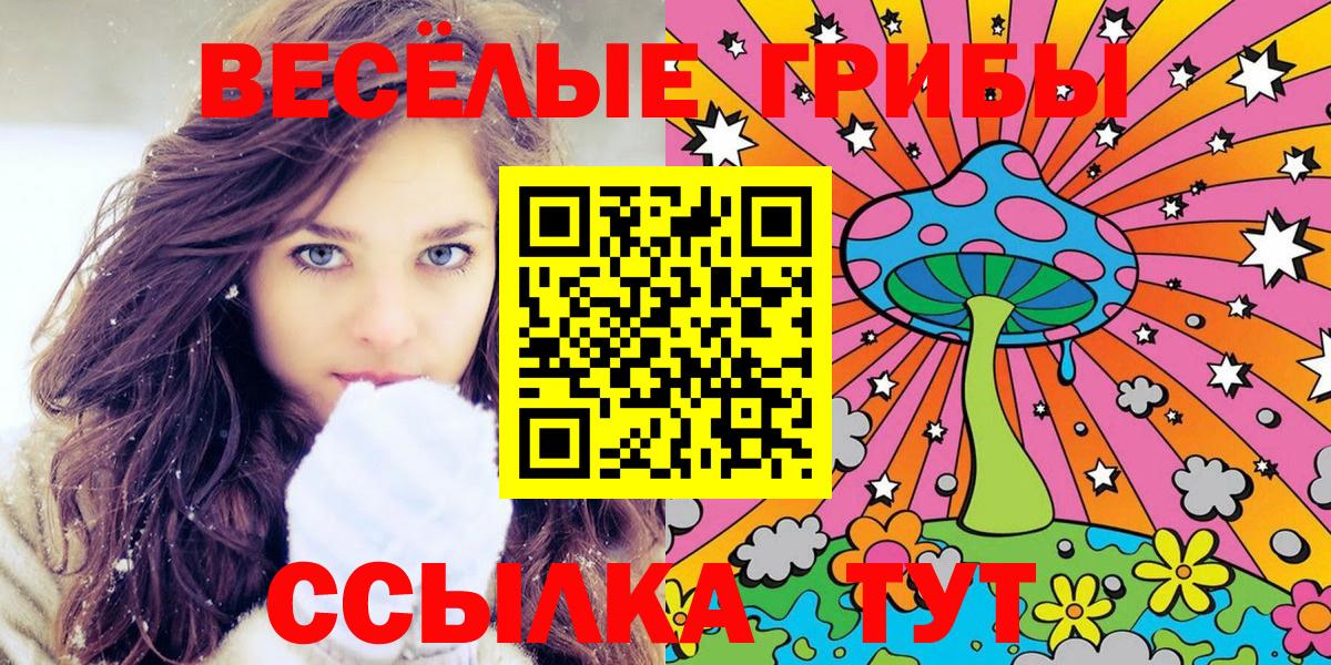 где купить наркотик  Псилоцибиновые грибы GOLDEN TEACHER  Вход с VPN  Нурлат 