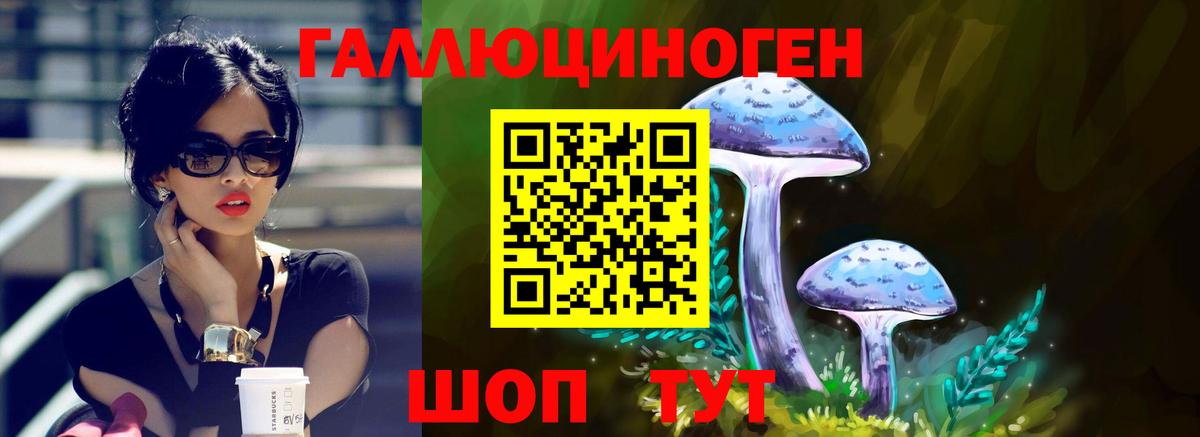 МАРИХУАНА  АМФЕТАМИН кристаллы  Меф МЯУ МЯУ   КОКАИН  Гашиш  Нурлат  A-PVP СОЛЬ   Вход с VPN  NBOMe 